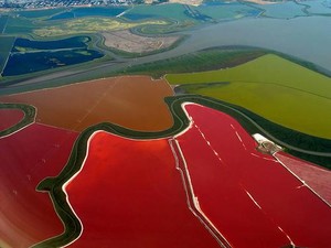 Cantiknya Tambak Warna Warni di Teluk San Francisco