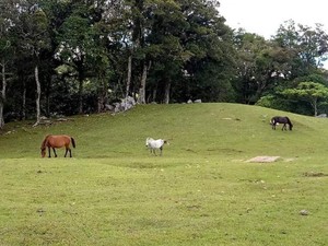 Cantiknya TTS, Selandia Baru dari Indonesia
