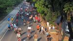 Car Free Day, Momen Tepat Nikmati Udara Segar Jakarta