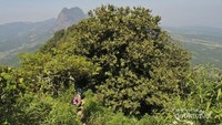 Perjalanan ke puncak kedua