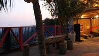 Salah satu sudut yang ada di lokasi dengan pohon kelapa dan bangku kayu.