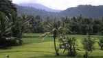 Cari Tempat Sejuk di Padang, Ini Dia Tempatnya!