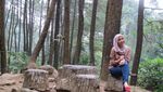 Cari yang Segar di Bogor, Coba ke Curug 7 Cilember