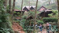 Rumah kayu yang disewakan