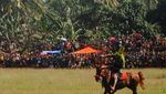Catat, Tanggal Pagelaran Pasola 2016 di Sumba