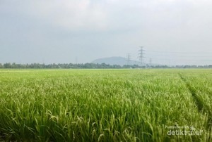 Catat! Tempat-Tempat Liburan di Banten