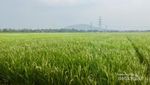 Catat! Tempat-Tempat Liburan di Banten
