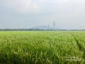 Catat! Tempat-Tempat Liburan di Banten