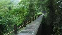 Perjalanan menuju air terjun Tiu Kelep