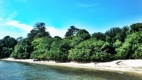 Pulau Rambut