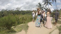 Menapaki Hijaunya Sawah di Ceking Terrace Tegallalang Bali