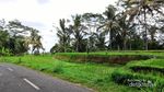 Ceking Terrace, Sisi Lain Bali yang Harus Kamu Datangi