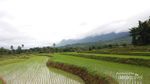 Celebes Canyon, Calon Primadona Baru di Sulsel