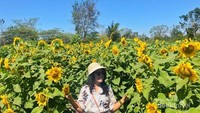 Bagaimana, apakah kalian tertarik untuk berkunjung ke jiwans garden?