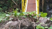 Jembatan gantung penyeberangan