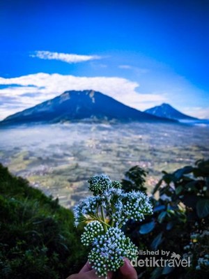Cerita Pendakian Gunung Merbabu dari Jalur Wekas