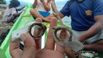 Cerita Perjalanan ke Alor, Pulau Budaya yang Mendunia