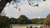 Sagara Anakan - Pulau Sempu dari atas Tebing
