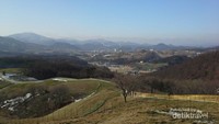 Suasana peternakan Daegwallyeong yang tak kalah cantik dari Skotlandia