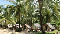 Penginapan di Pantai Bunga Jabe, Pulau Karimunjawa