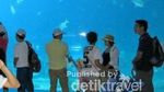 Chimelong Ocean Kingdom, Akuarium Terbesar di Dunia