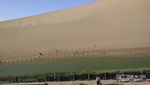 China Juga Punya Oasis di Tengah Gurun