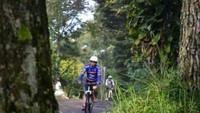 Warung Bandrek