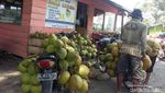 Cicipi Lincah U Groh, Kuliner Rujak Kelapa Muda dari Aceh