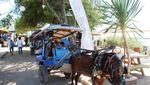 Cidomo, Kereta Kuda Ala Lombok