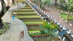 Cikapayang, Sungai Jernih di Tengah Kota Bandung