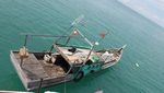 Cinta Pandangan Pertama dengan Pulau Pongok