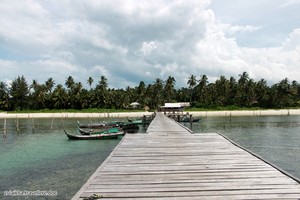 Cinta Pandangan Pertama dengan Pulau Pongok