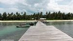 Cinta Pandangan Pertama dengan Pulau Pongok