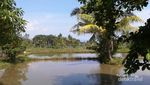 Coba Deh, Menginap di Pinggir Sawah