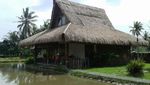 Coba Deh, Menginap di Pinggir Sawah