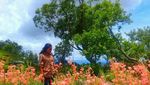 Coba Tebak, Taman Bunga Ini ada di Mana?