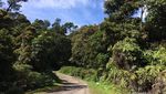 Coba Yuk, Mendaki Gunung Patuha di Bandung