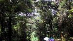 Coba Yuk, Mendaki Gunung Patuha di Bandung