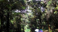 Perjalanan dimulai melalui jalan tepat sebelah kiri dari jalur masuk ke Kawah Putih