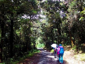 Coba Yuk, Mendaki Gunung Patuha di Bandung