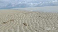 pasir putih tempat hidup dan berkembangbiaknya cacing laut/insonem