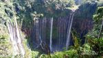 Coban Sewu yang Bagai Tirai Raksasa