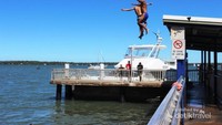 Mas Bro baca dong.. No Diving, No Jumping