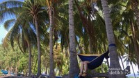 Nyiur-nyiur melambai di tepian pantai