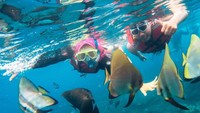 Snorkeling menikmati cantiknya dalam air pantai Bangsring