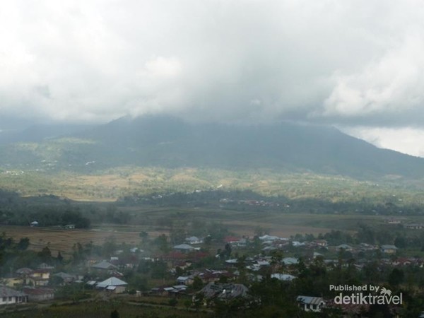 Cuma di  Indonesia Formasi Sawah Berbentuk Sarang  Laba laba