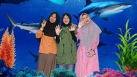 Edit hasil foto di Jakarta Aquarium