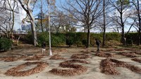 Para seniman penghasil karya seni dari Ochiba Art sedang membuat tulisan WELCOME TO OSAKA di Kastil Osaka.