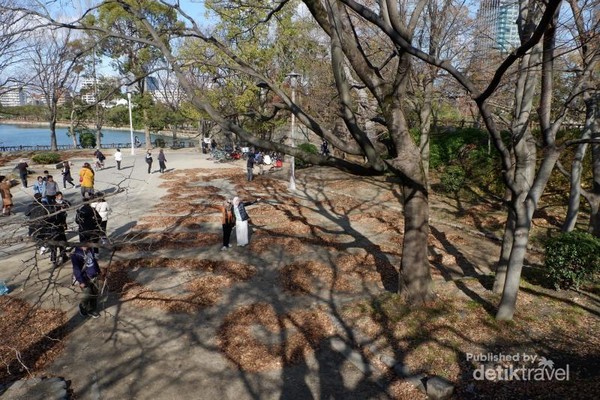 Banyaknya para turis baik dari dalam maupun luar negeri yang sampai mengantri untuk berfoto bersama karya seni Ochiba Art ini. Banyaknya para turis baik dari dalam maupun luar negeri yang sampai mengantri untuk berfoto bersama karya seni Ochiba Art ini.