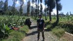 Cuma Modal Dengkul, Bisa Nikmati Lautan Awan Gunung Sindoro